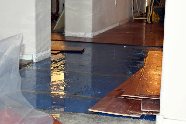 Professional Basement Flood Cleanup technician working in Edgecomb, ME